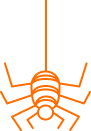 spider